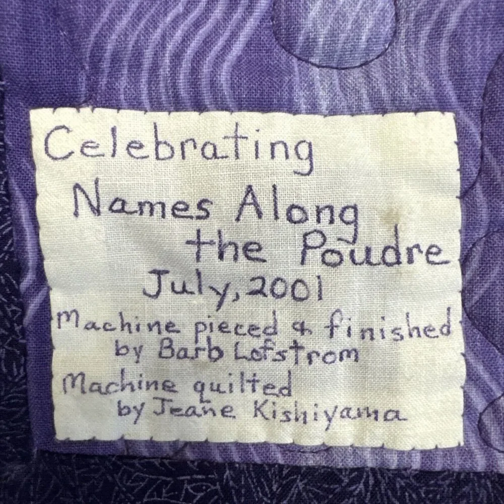 Vtg 2001 Handmade Patchwork Purple Quilt Quilted celebrating Names Poudre 68x45”